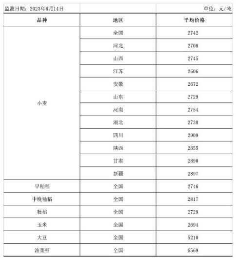 糧食市場迎來新發(fā)展趨勢，中方呼吁完善全球糧農(nóng)治理體系